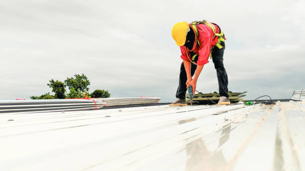 Best Solar Panel Roofing Installation  in Honesdale, PA